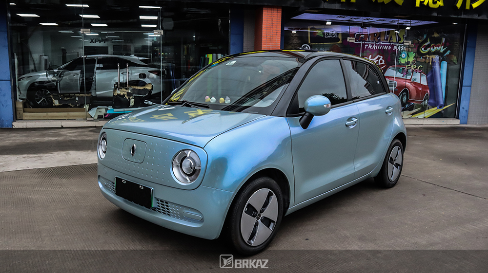 双色糖果闪亮灰×欧拉 R1