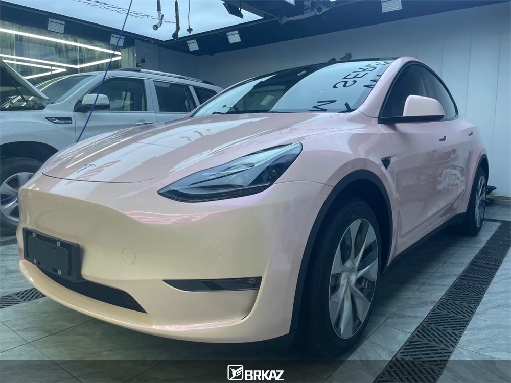 双色糖果胭脂粉×特斯拉 MODELY